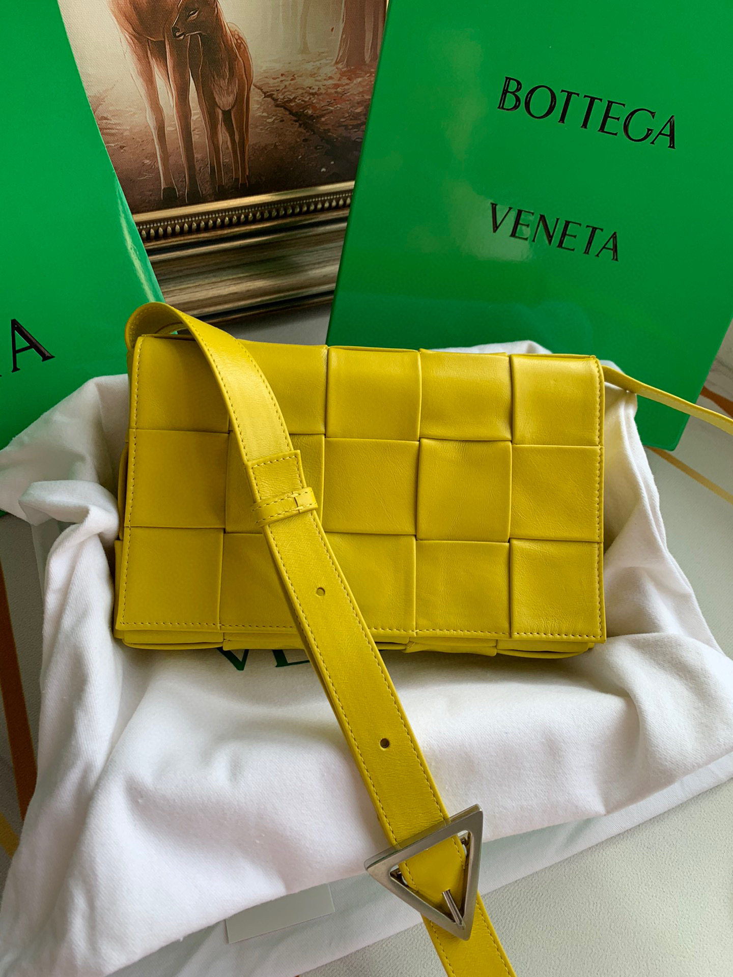 보테가베네타 여자가방 667298