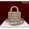 디올 레이디 백 여자가방